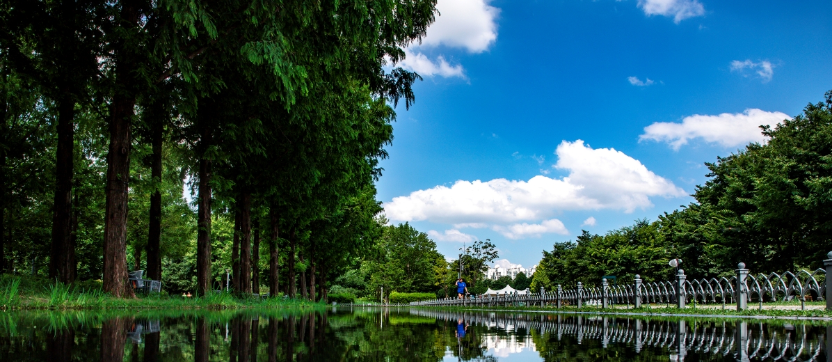 Seoul Forest 