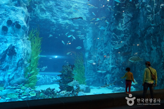 Lotte World Aquarium