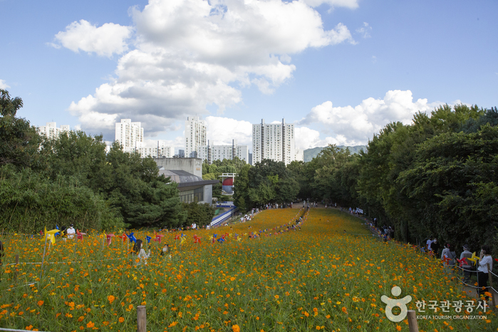 올림픽공원 들꽃마루