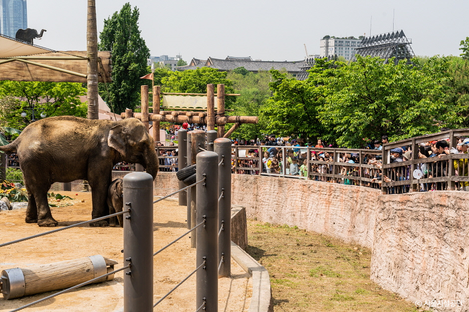 子供大公園